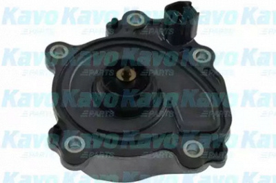 KAVO PARTS tw6002e - Водяной насос